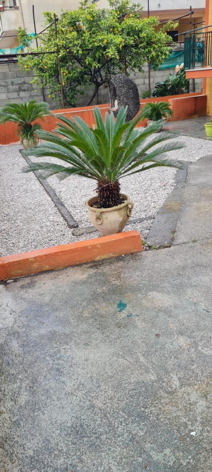 Villa Nonna Cristina Pompei Esterno foto